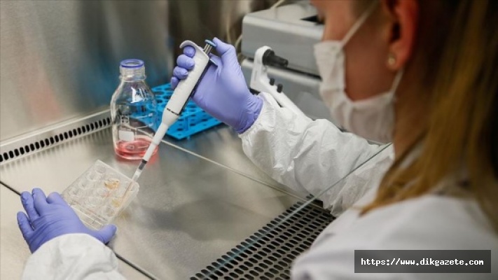Pandemiden çıkışın umudu Kovid-19 aşısı için çalışmalar sürüyor