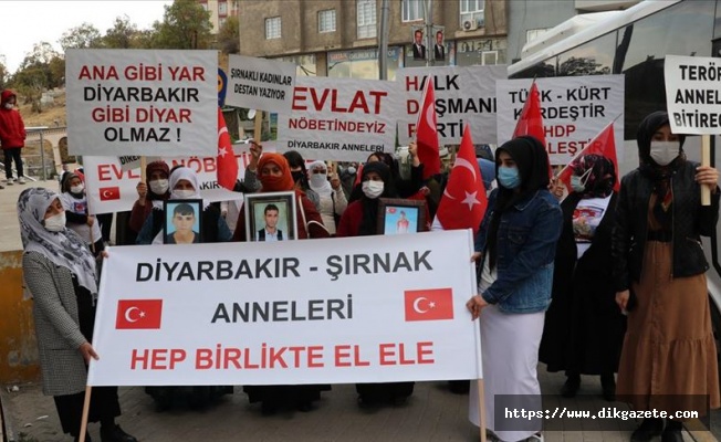 Şırnak'taki terör mağdurlarının HDP binası önündeki eylemine Diyarbakır annelerinden destek
