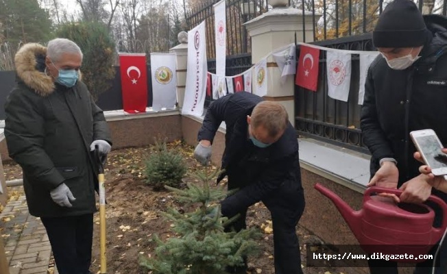 Türkiye, Rusya'da fidan dikti