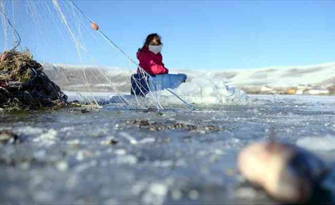 Buz tutan Çıldır Gölü'nde Eskimo usulü avcılık başladı