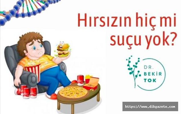 Hırsızın hiç mi suçu yok?