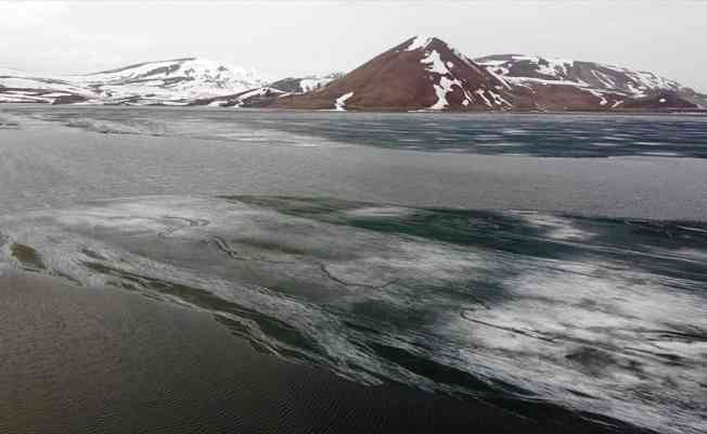 Ağrı'daki buzla kaplı doğa harikası Balık Gölü çözülmeye başladı