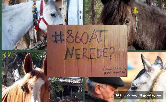 Atların kaybedilmesi alay konusu ve siyaset malzemesi olamaz! #860AtNerede?