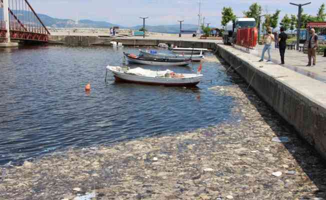 Balıkesir'de müsilaj temizliği devam ediyor