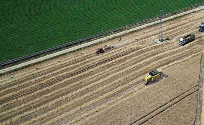 Bakan Pakdemirli: Tarımsal destek ödemeleri bugün başlıyor