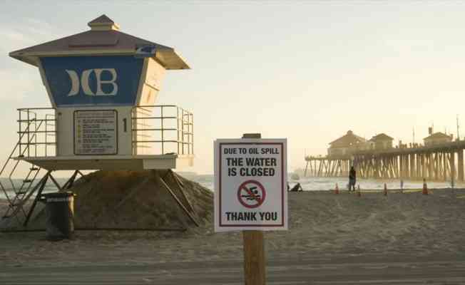 California'da petrol sızıntısı deniz yaşamını tehdit ediyor
