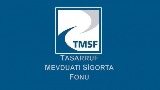 21 tasarruf finansman şirketinin tasfiyesini TMSF yönetecek