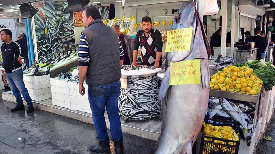 220 kilogram orkinos ilgi odağı oldu