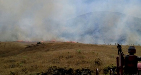 80 dönüm arazi kül oldu