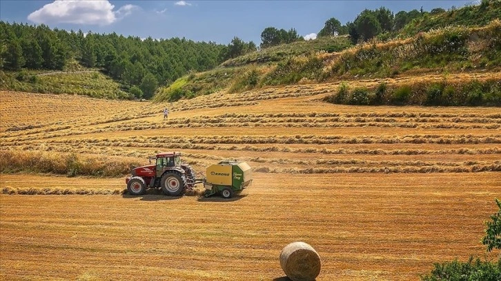 AB, 5 yılda tarıma 300 milyar avronun üzerinde kaynak sağlayacak