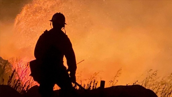 ABD'de aşırı sıcak ve orman yangını alarmı