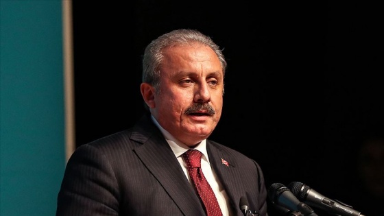 'ABD'nin meselesi Ermeniler değil'