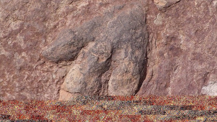 ABD'de bulunan fosilin, dinozorları yok eden gök taşıyla bağlantılı olabileceği belirtildi