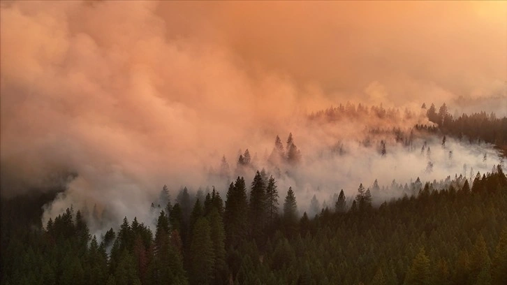 ABD'nin California eyaletindeki yangının etkilediği alanın Los Angeles'tan büyük olduğu be