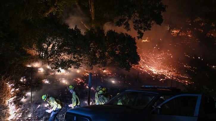 ABD'nin New Mexico eyaletinde orman yangını sebebiyle 7 bin kişi tahliye edilecek