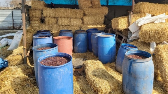 Adana'da 2 bin 600 litre sahte içki ele geçirildi