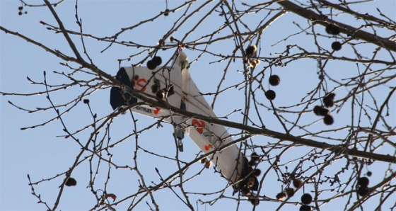 Adana'da drone kazası