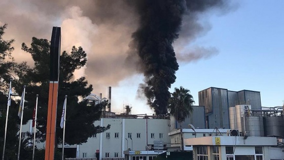 Adana’da yağ fabrikasında yangın