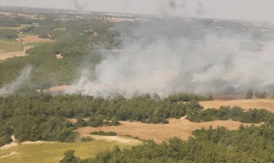 Adana'daki orman yangını kontrol altına alındı