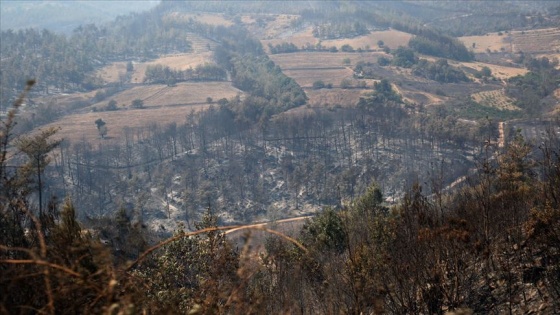 Adana'nın Kozan ilçesindeki orman yangınıyla ilgili bir kişi daha yakalandı