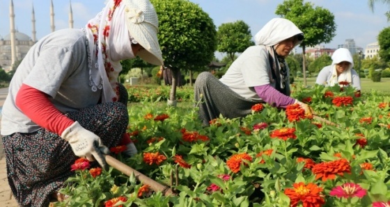 Adana'yı güzelleştiren kadınların kavurucu sıcakta ekmek mücadelesi