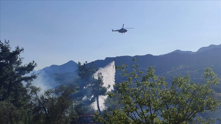 Adana'da çıkan orman yangını söndürüldü