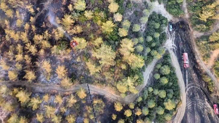 Adana'da ormanlık alanda çıkan yangın kontrol altına alındı