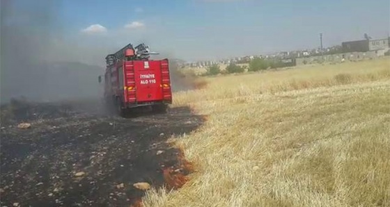 Adıyaman’da buğday yangını