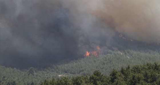 Adrasan'da çıkan yangın Çıralı ve Olimpos'u da tehdit ediyor