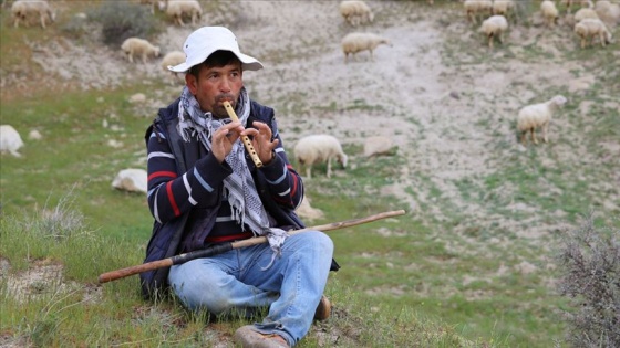 'Afgan çoban getirileceği' iddiasına yalanlama