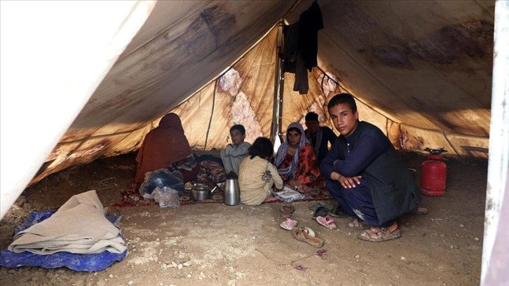 Afgan selzedeler çadırlarda yokluk içinde yaşıyor