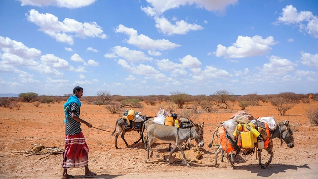 Afrika'nın güneyinde şiddetli kuraklık sebebiyle 15 milyon kişi acil gıda yardımına muhtaç