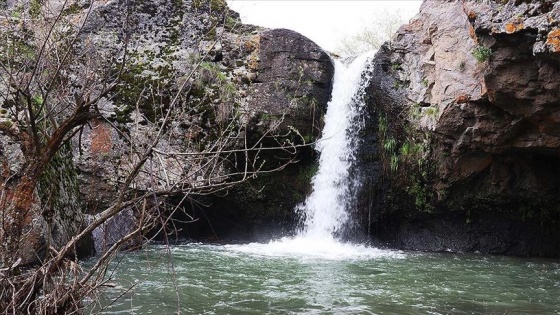 Ağrı'daki Bekiran Şelalesi'nde ilkbahar güzelliği