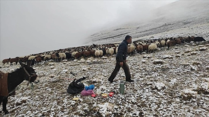 Ağrı'da etkili olan kar ve siste çobanların zorlu mesaisi sürüyor