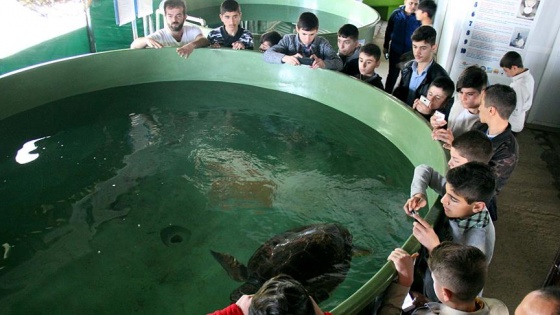 Ağrılı öğrencilerin 'caretta caretta' mutluluğu