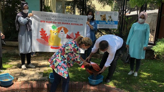 AK Parti Kadın Kollarından 81 ilde 'Bir Kap Su Bir Kap Mama' kampanyası