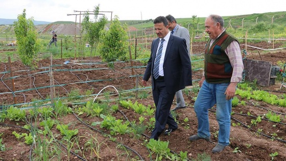 Akademisyenler hobi bahçelerinde stres atıyor