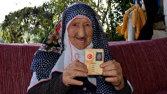 Akçaabat'ın asırlık çınarı 'Pamuk Nene'