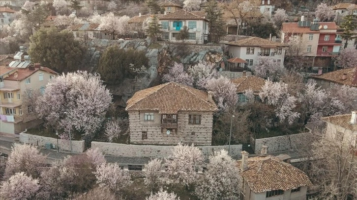 Akseki, çiçek açan meyve ağaçlarıyla renklendi