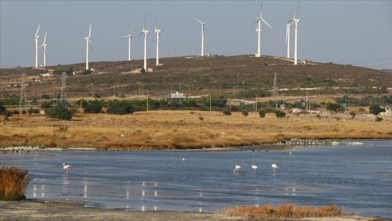 Alaçatı kuşlarıyla da turist çekecek