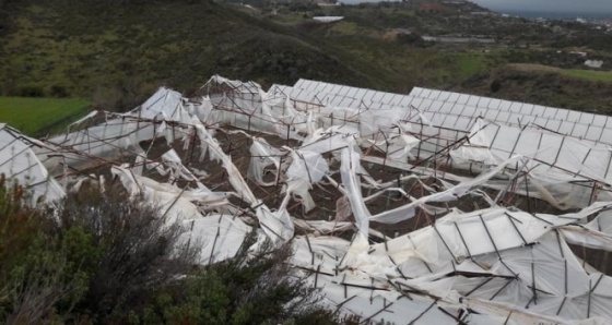 Alanya’da hortum 80 dekarlık alandaki seraları yerle bir etti