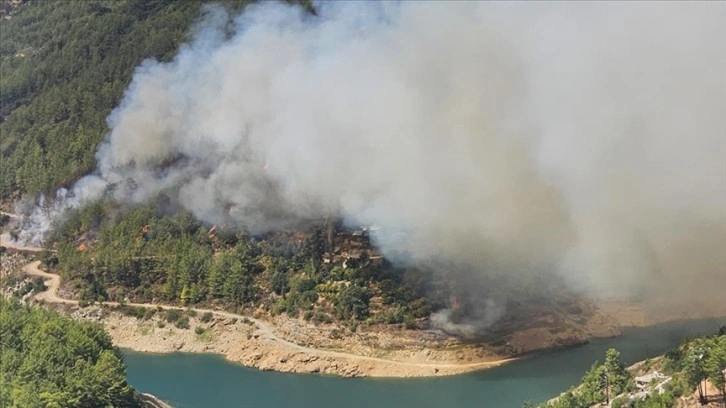 Alanya'da orman yangını çıktı