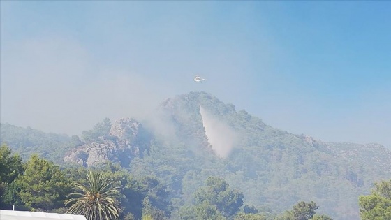 Antalya'da çıkan orman yangınları kontrol altına alındı