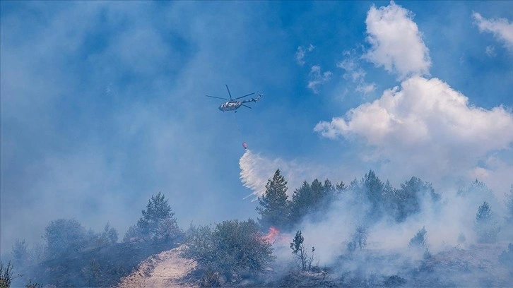 Ankara-Bolu sınırındaki orman yangınıyla ilgili gözaltına alınan şüpheli tutuklandı