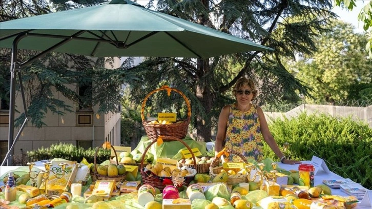 Ankara'da 'Mango Festivali' etkinliği yapıldı