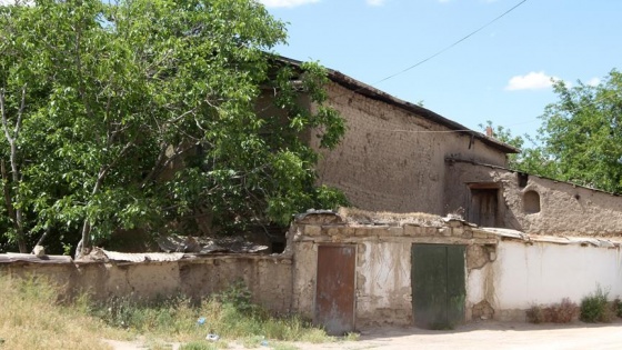 Annesinin cesediyle 15 gün boyunca uyumuş