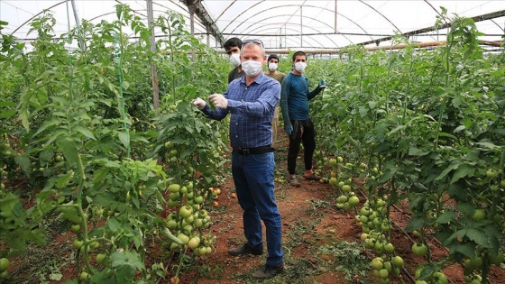 Antalya'da 130 bin çiftçi üretime hız kesmeden devam ediyor