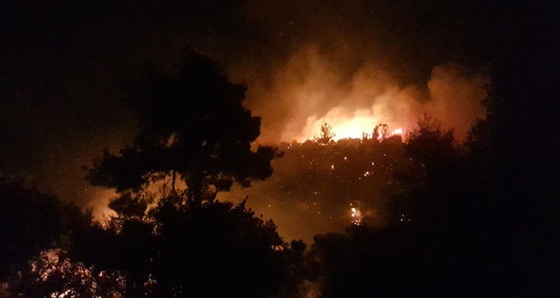 Antalya'da 4 mahalleyi tehdit eden orman yangını