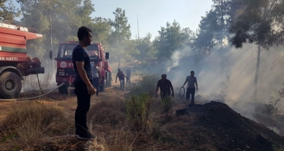 Antalya'da çıkan orman yangını büyümeden söndürüldü