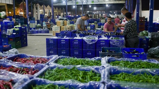 Antalya'da kasımda işlem gören sebze ve meyvenin fiyatlarında artış oldu